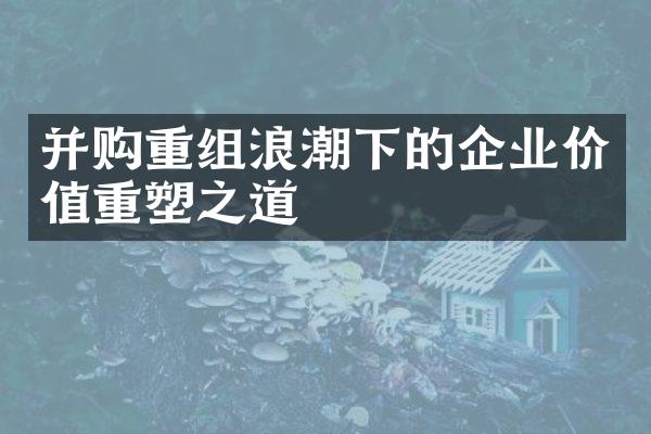 并购重组浪潮下的企业价值重塑之道