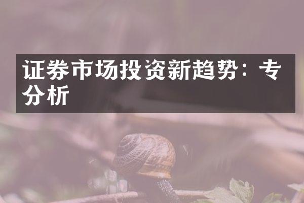 证券市场投资新趋势: 专家分析