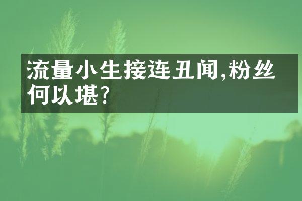 流量小生接连丑闻,粉丝情何以堪?