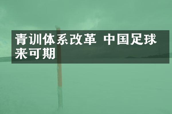 青训体系改革 中国足球未来可期