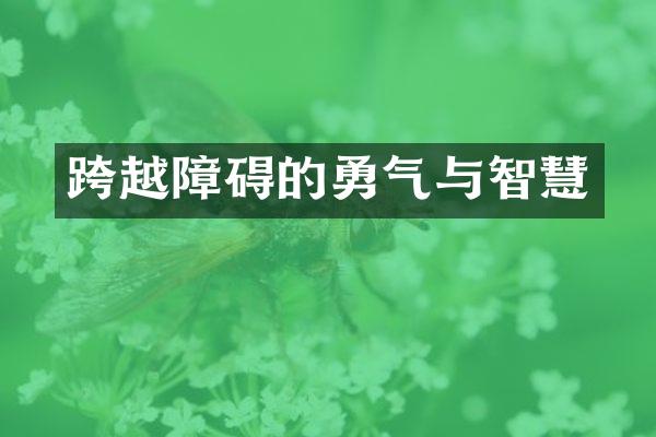 跨越障碍的勇气与智慧