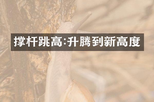 撑杆跳高:升腾到新高度