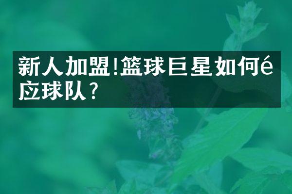 新人加盟!篮球巨星如何适应球队?