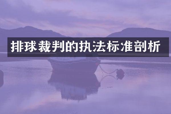 排球裁判的执法标准剖析