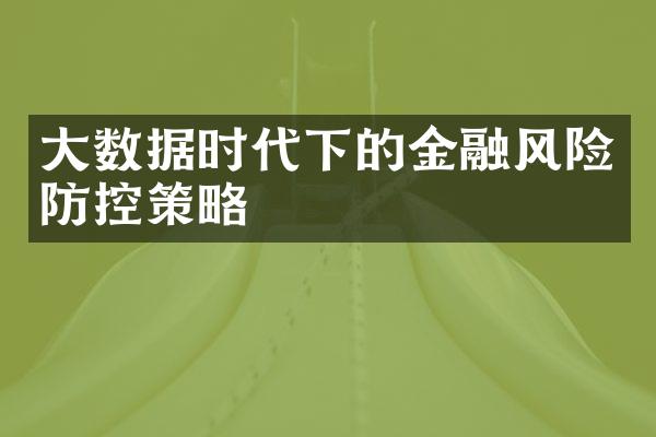 大数据时代下的金融风险防控策略