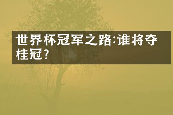 世界杯冠军之路:谁将夺得桂冠?