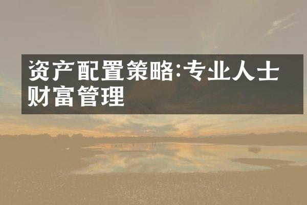 资产配置策略:专业人士的财富管理