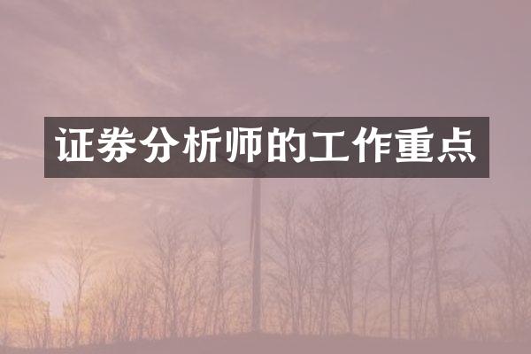 证券分析师的工作重点