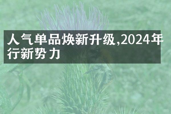 人气单品焕新升级,2024年流行新势力