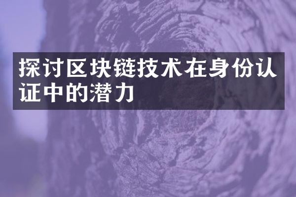 探讨区块链技术在身份认证中的潜力