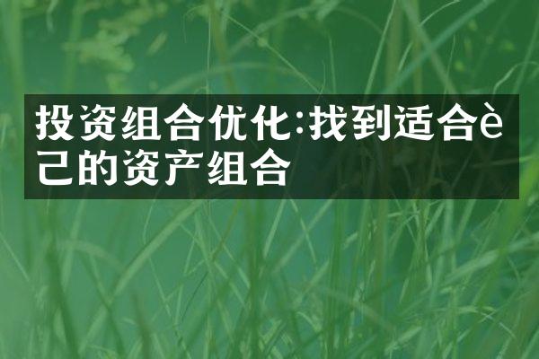 投资组合优化:找到适合自己的资产组合