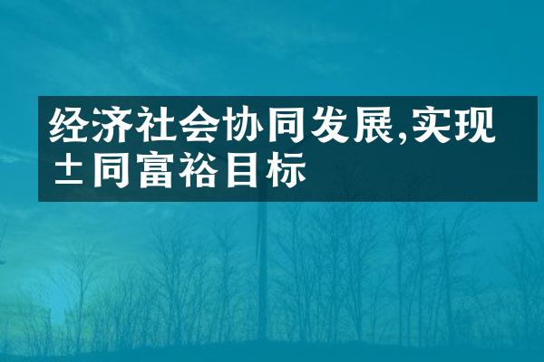 经济社会协同发展,实现共同富裕目标