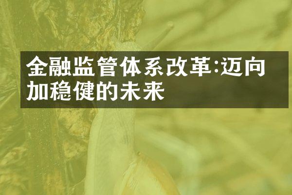 金融监管体系改革:迈向更加稳健的未来