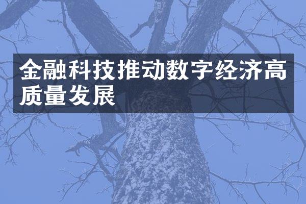 金融科技推动数字经济高质量发展