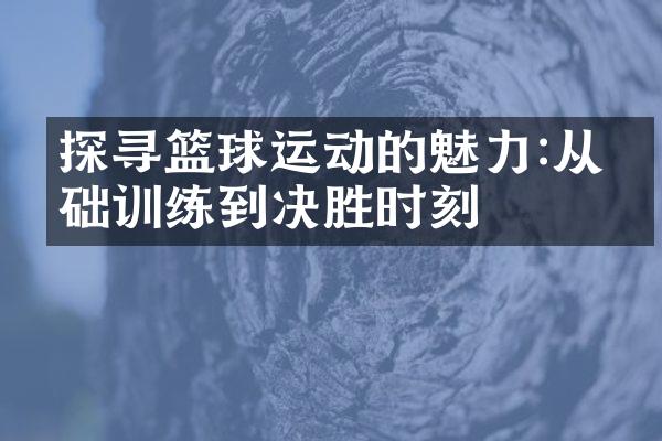 探寻篮球运动的魅力:从基础训练到决胜时刻