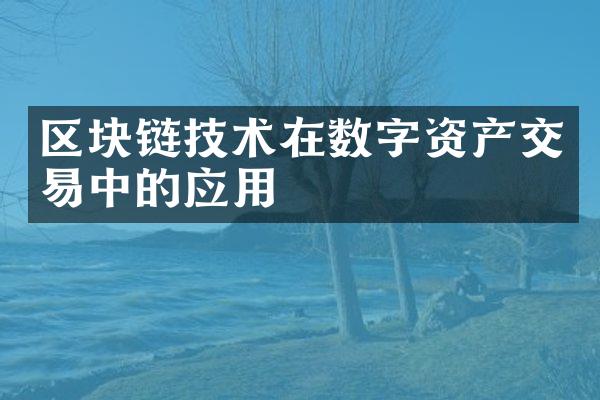 区块链技术在数字资产交易中的应用