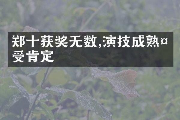 郑十获奖无数,演技成熟备受肯定