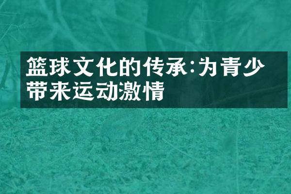 篮球文化的传承:为青少年带来运动激情