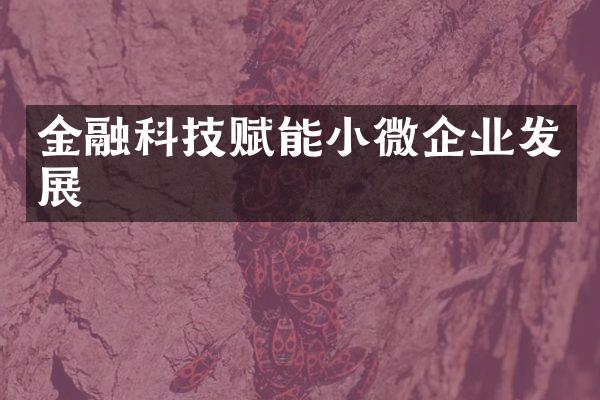 金融科技赋能小微企业发展