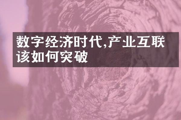 数字经济时代,产业互联网该如何突破