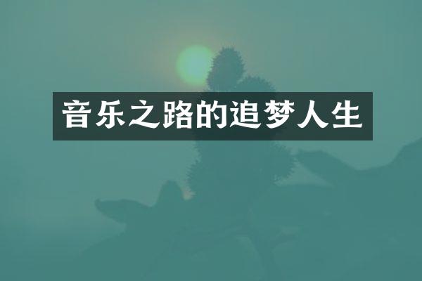 音乐之路的追梦人生