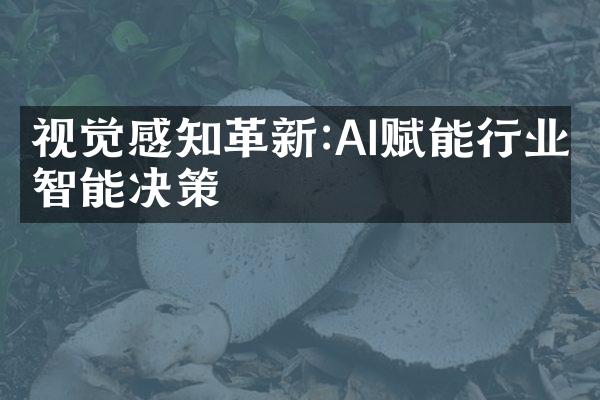 视觉感知革新:AI赋能行业智能决策