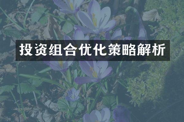 投资组合优化策略解析