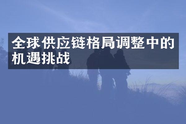 全球供应链格局调整中的机遇挑战