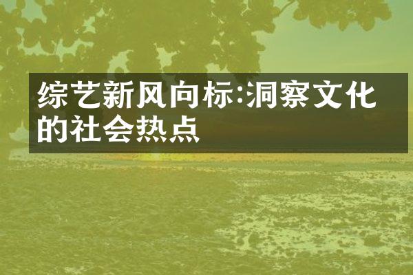 综艺新风向标:洞察文化中的社会热点