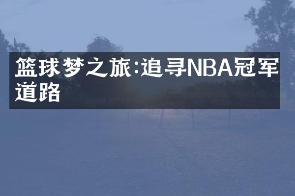 篮球梦之旅:追寻NBA冠军的道路