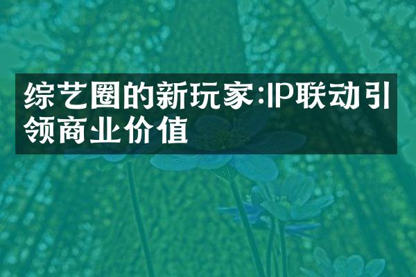 综艺圈的新玩家:IP联动引领商业价值