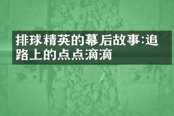 排球精英的幕后故事:追梦路上的点点滴滴