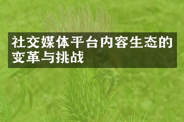 社交媒体平台内容生态的变革与挑战