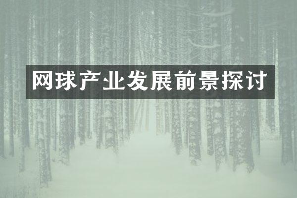 网球产业发展前景探讨