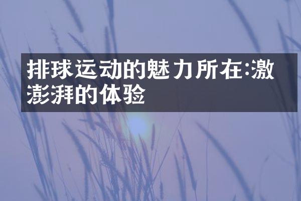 排球运动的魅力所在:澎湃的体验