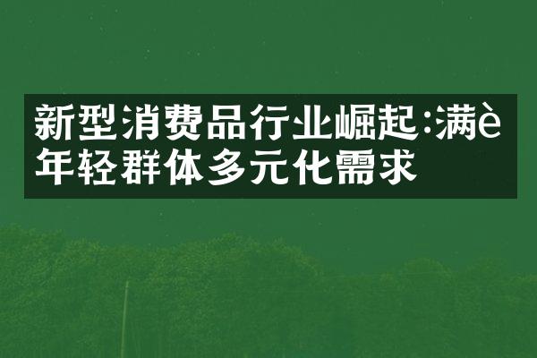 新型消费品行业崛起:满足年轻群体多元化需求