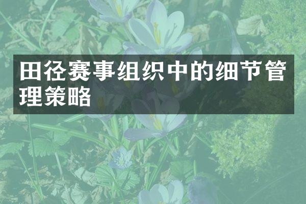 田径赛事组织中的细节管理策略