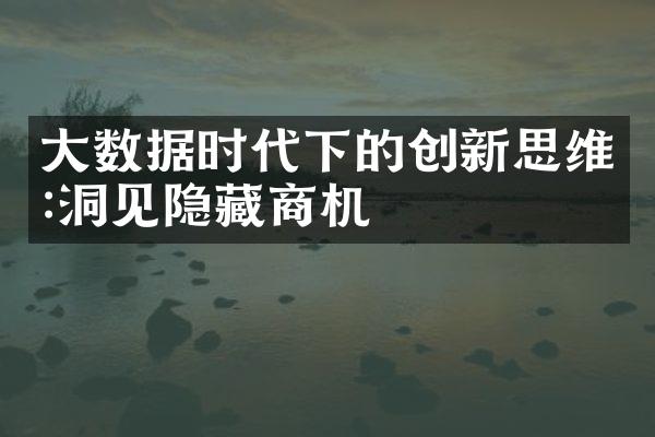 大数据时代下的创新思维:洞见隐藏商机