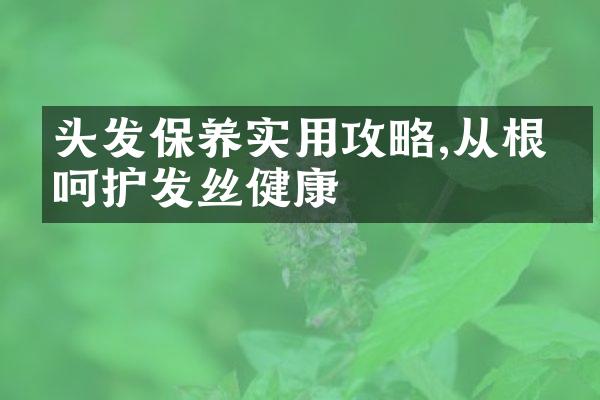 头发保养实用攻略,从根源呵护发丝健康