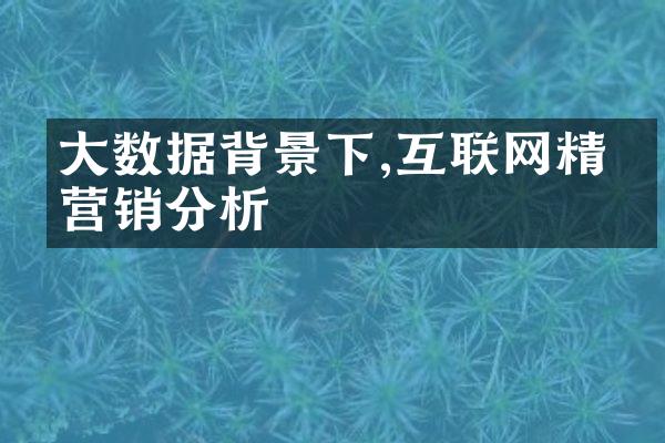 数据背景下,互联网精准营销分析