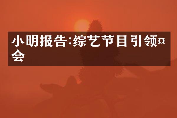 小明报告:综艺节目引领社会