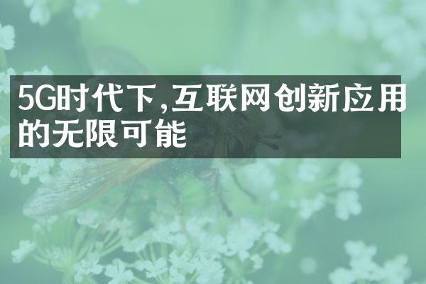 5G时代下,互联网创新应用的无限可能