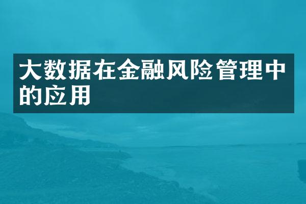 大数据在金融风险管理中的应用