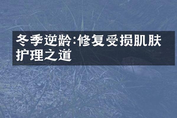 冬季逆龄:修复受损肌肤的护理之道