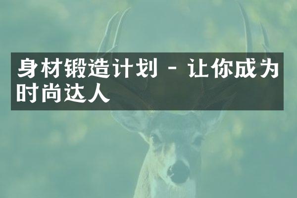 身材锻造计划 - 让你成为时尚达人