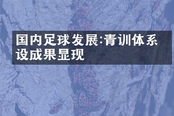 国内足球发展:青训体系成果显现