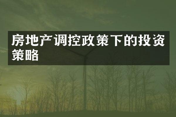 房地产调控政策下的投资策略