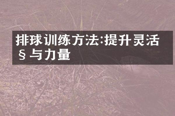 排球训练方法:提升灵活性与力量