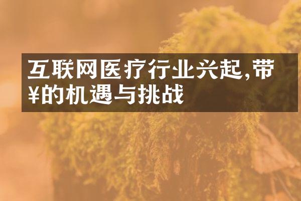 互联网医疗行业兴起,带来的机遇与挑战