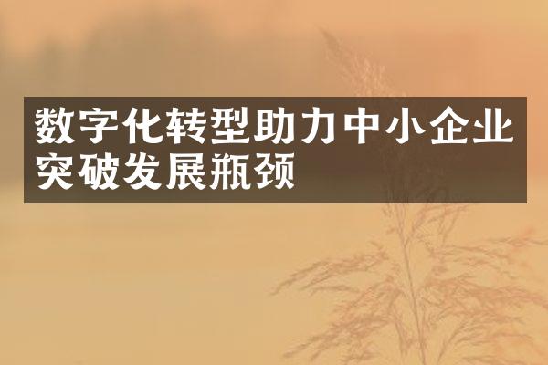 数字化转型助力中小企业突破发展瓶颈